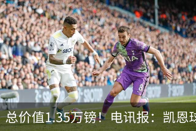 总价值1.35万镑！电讯报：凯恩球鞋被盗，还包括吉祥物和乐高积木